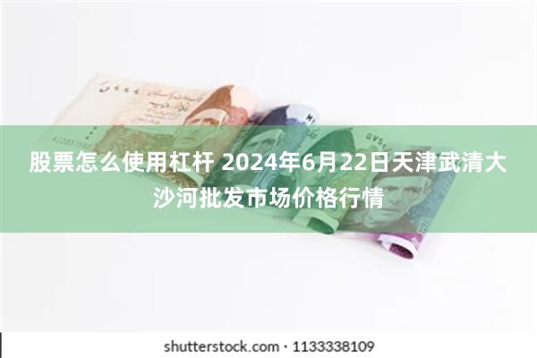 股票怎么使用杠杆 2024年6月22日天津武清大沙河批发市场价格行情