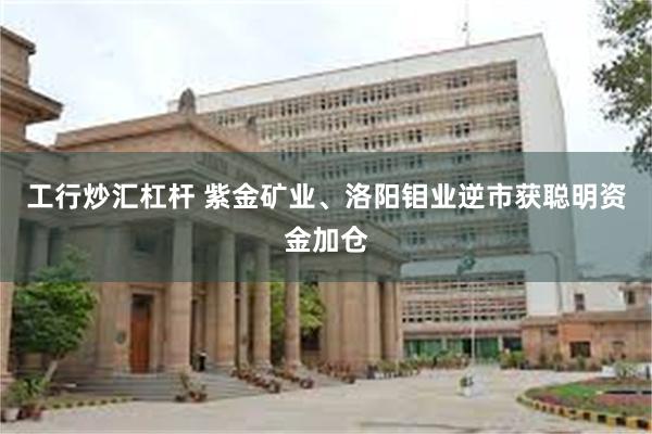 工行炒汇杠杆 紫金矿业、洛阳钼业逆市获聪明资金加仓