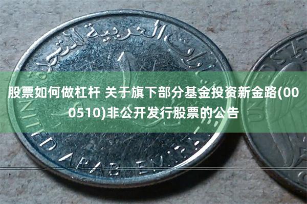 股票如何做杠杆 关于旗下部分基金投资新金路(000510)非公开发行股票的公告